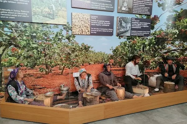 Gaziantep Fıstık Müzesi - Resim 12