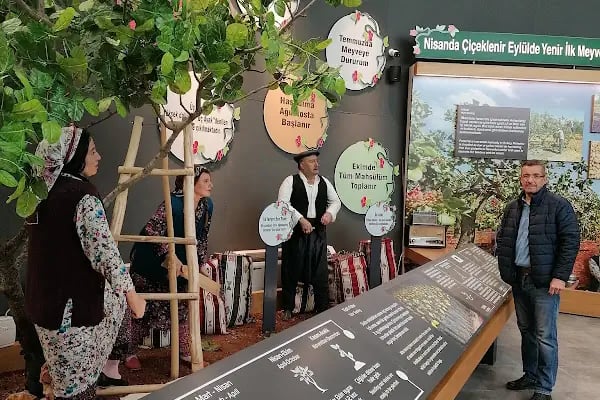 Gaziantep Fıstık Müzesi - Resim 7