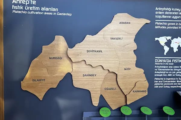 Gaziantep Fıstık Müzesi - Resim 19