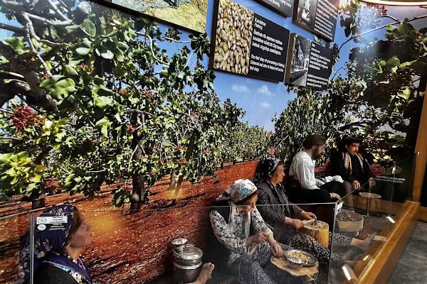 Gaziantep Fıstık Müzesi - Resim 16