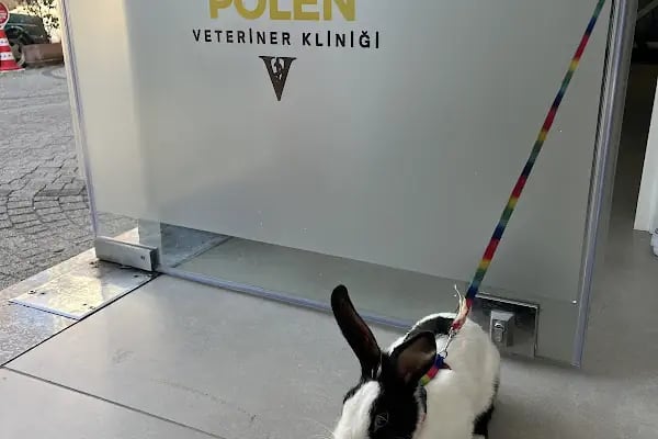 Polen Veteriner Kliniği 7/24 Acil - Resim 13