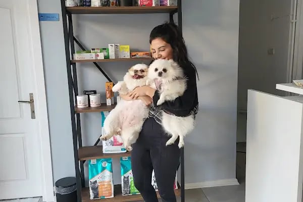 Polen Veteriner Kliniği 7/24 Acil - Resim 1