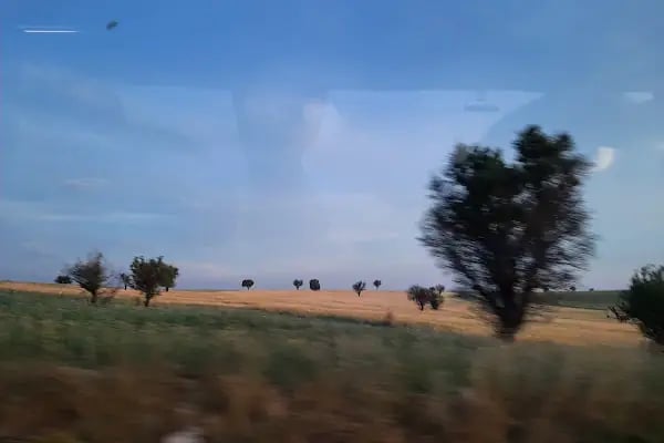 Kamil Koç İzmir -Flixbus - Resim 9