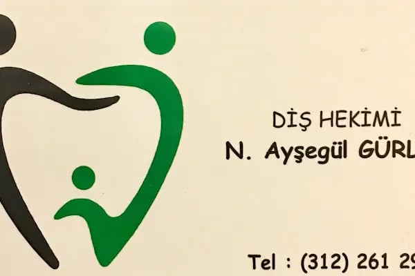 Dr. N. Ayşegül GÜRLER - Resim 1