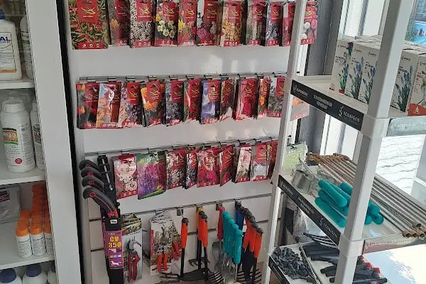 Bodrum Tarım Ticaret ve Pazarlama - Resim 6