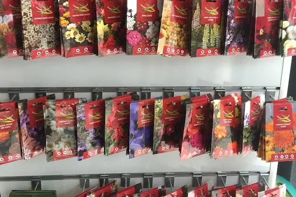 Bodrum Tarım Ticaret ve Pazarlama - Resim 4