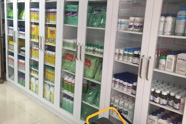 Bodrum Tarım Ticaret ve Pazarlama - Resim 3
