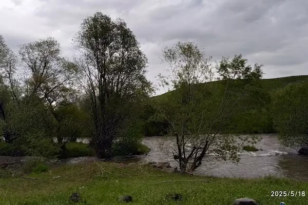 Mooss Erkek Kuaförü &amp; Güzellik Salonu - Resim 11