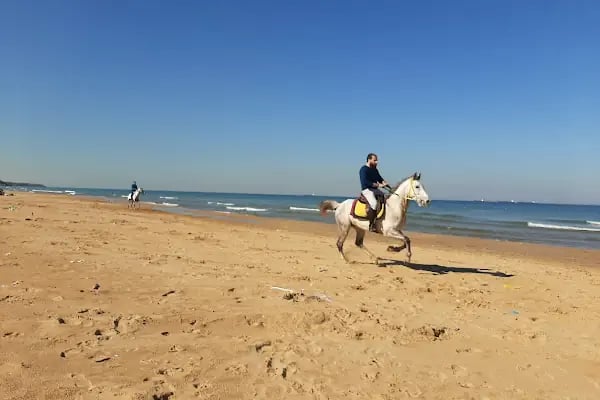 Burç Plajı - Resim 12