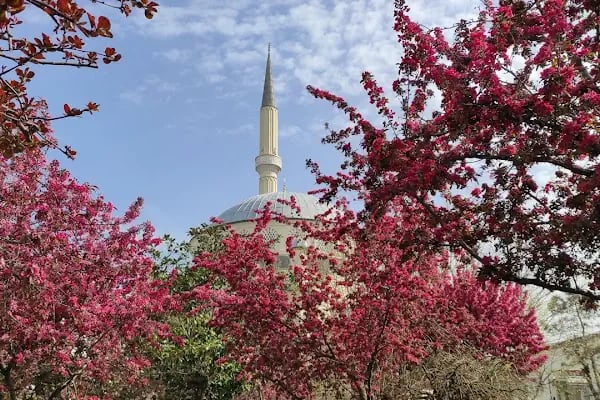 Şehit Başkomiser Ahmet Zehir Parkı - Resim 14