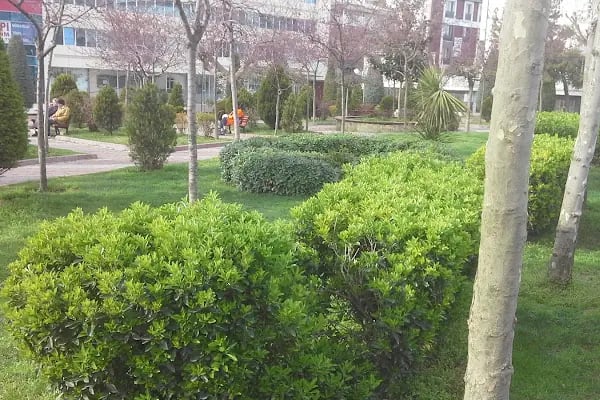 Şehit Başkomiser Ahmet Zehir Parkı - Resim 1