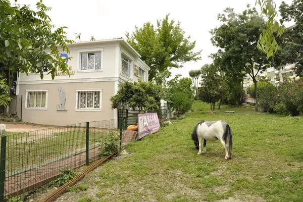İSTANBUL AVCILAR ÖZEL AKCAN ANAOKULU - Resim 17