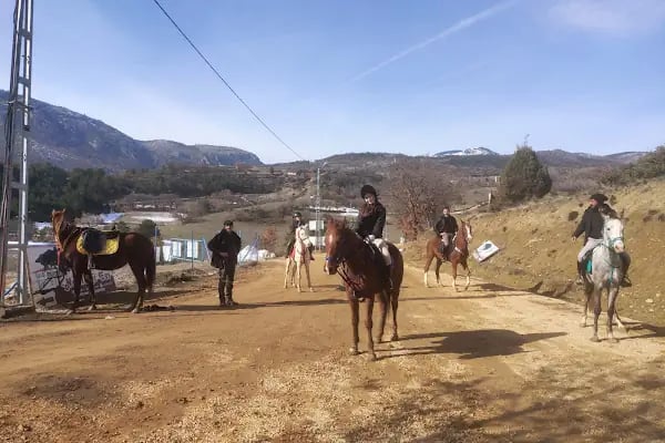 Oğuzhan At Çiftliği - Resim 8