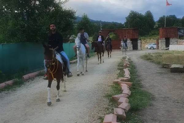 Oğuzhan At Çiftliği - Resim 19