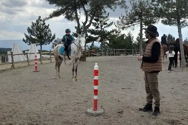 Oğuzhan At Çiftliği - Resim 12
