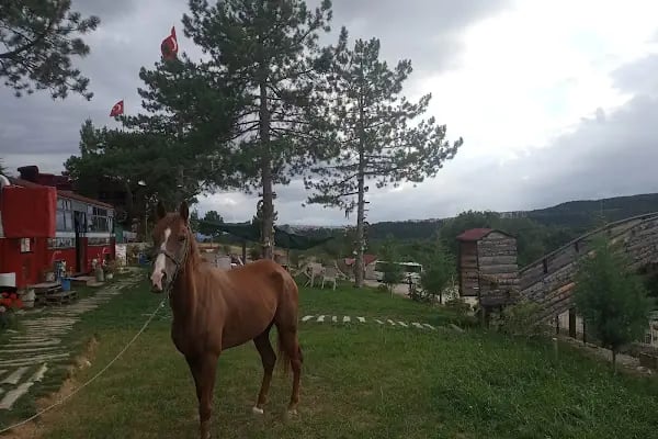 Oğuzhan At Çiftliği - Resim 20