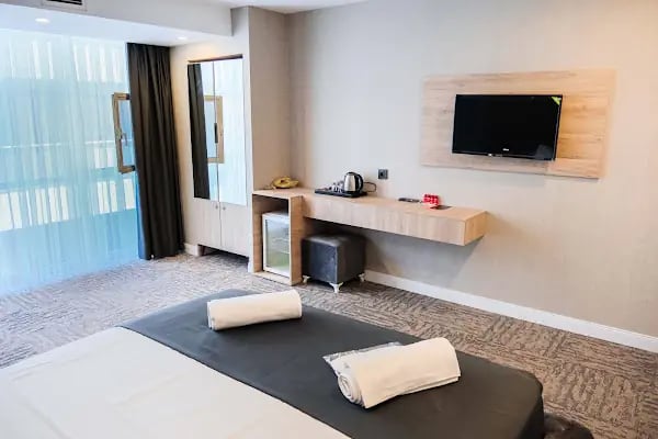 Swiss Inn Express Hotel Ankara - Resim 5