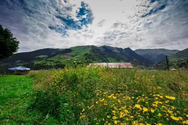 Lahza Apart Hotel - Resim 12