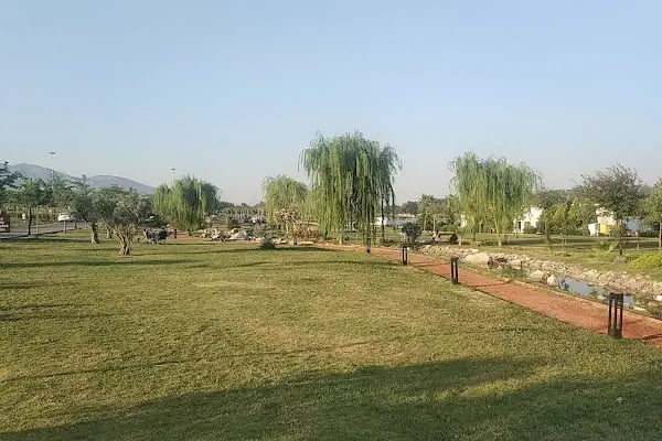 Kemalpaşa Savanda Göleti - Resim 14