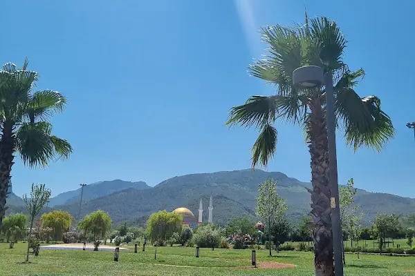 Kemalpaşa Savanda Göleti - Resim 11