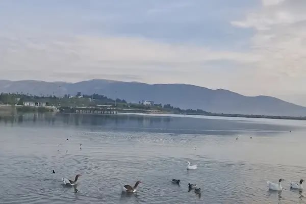 Kemalpaşa Savanda Göleti - Resim 20