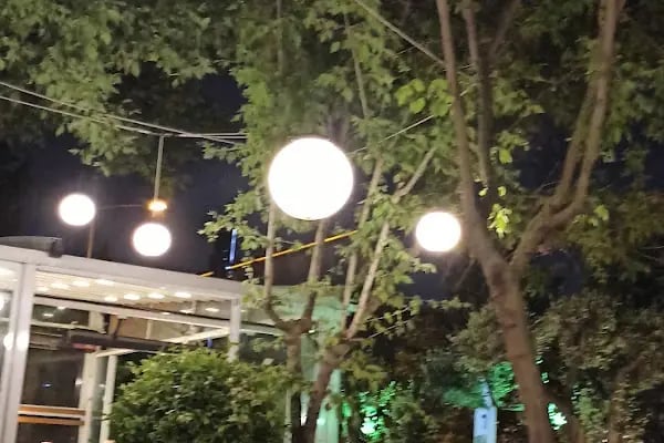 Zukka Kafe Restaurant - Resim 7