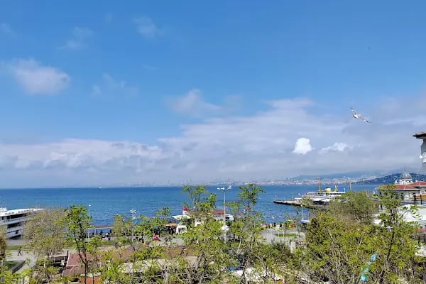 Büyükada İlçe Halk Kütüphanesi - Resim 10