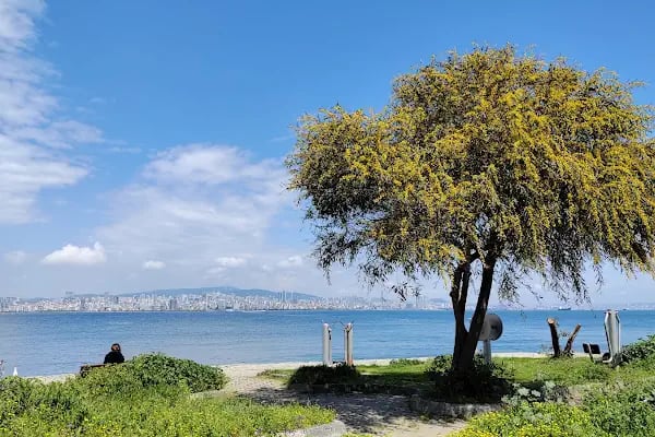 Büyükada İlçe Halk Kütüphanesi - Resim 3