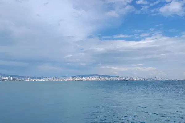 Büyükada İlçe Halk Kütüphanesi - Resim 6