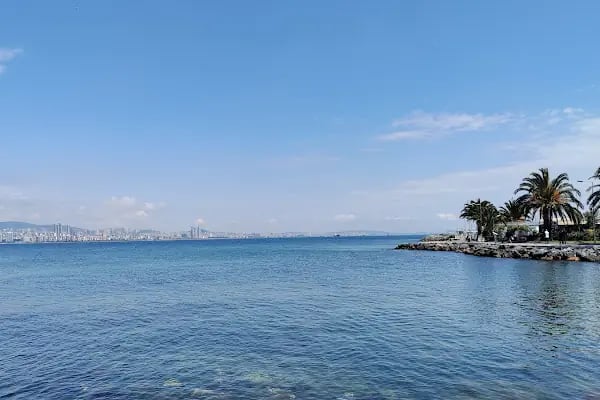Büyükada İlçe Halk Kütüphanesi - Resim 5