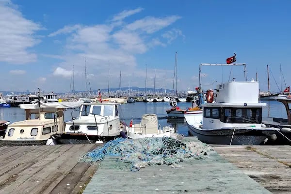 Büyükada İlçe Halk Kütüphanesi - Resim 9
