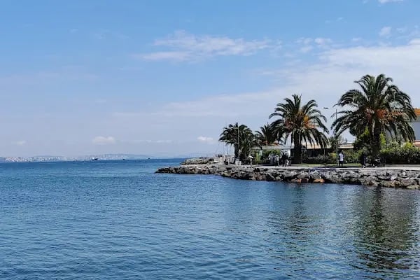 Büyükada İlçe Halk Kütüphanesi - Resim 14