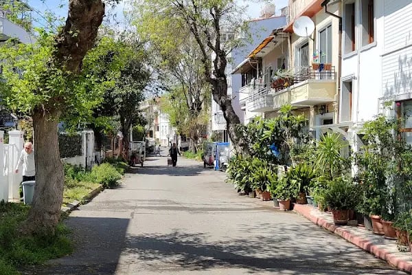 Büyükada İlçe Halk Kütüphanesi - Resim 4