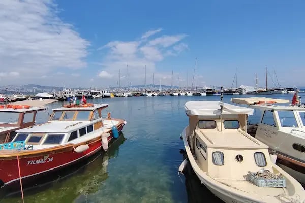 Büyükada İlçe Halk Kütüphanesi - Resim 12