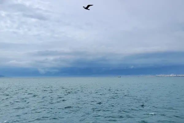 Büyükada İlçe Halk Kütüphanesi - Resim 16