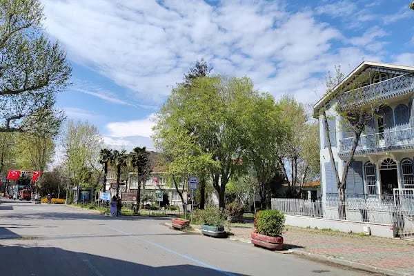 Büyükada İlçe Halk Kütüphanesi - Resim 11
