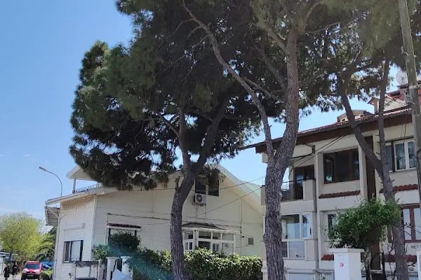 Büyükada İlçe Halk Kütüphanesi - Resim 17