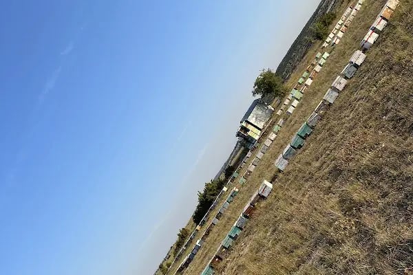 Bergama Yılmaz Süt Ürünleri - Resim 7