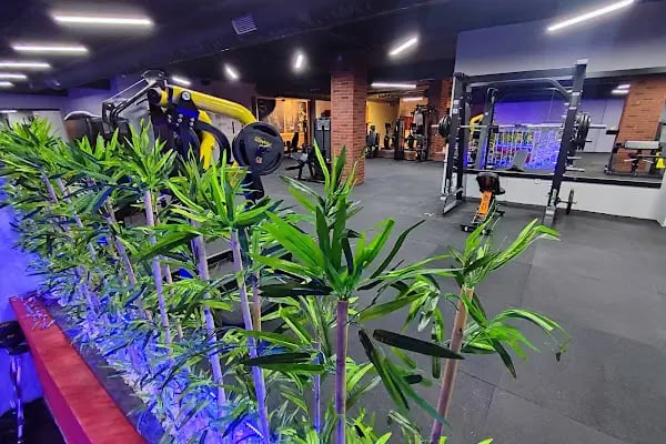 QUEEN’S PILATES &amp; FUNCTIONAL STUDIO - Resim 5