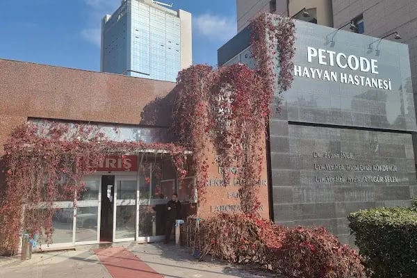 Petcode Hayvan Hastanesi - Resim 2