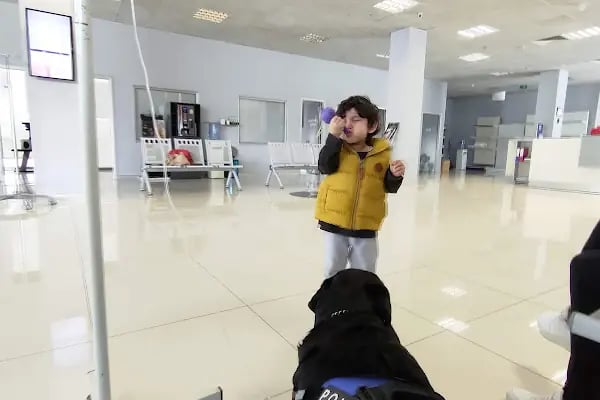 Petcode Hayvan Hastanesi - Resim 17