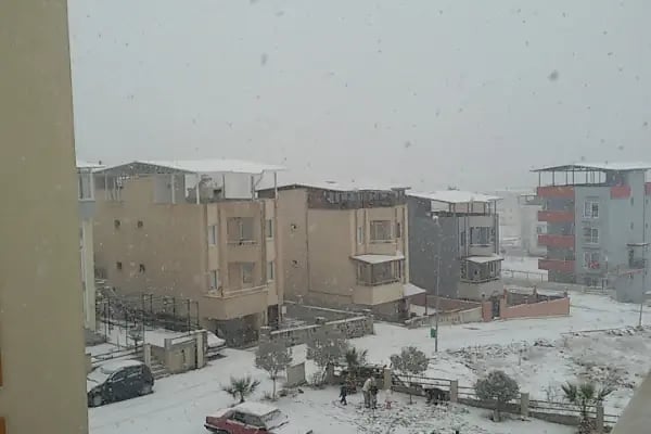 Değirmendere Kooperatifi - Resim 8