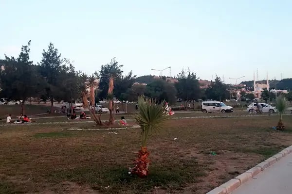 Değirmendere Kooperatifi - Resim 4