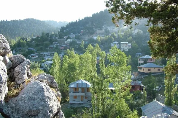 Değirmendere Kooperatifi - Resim 7
