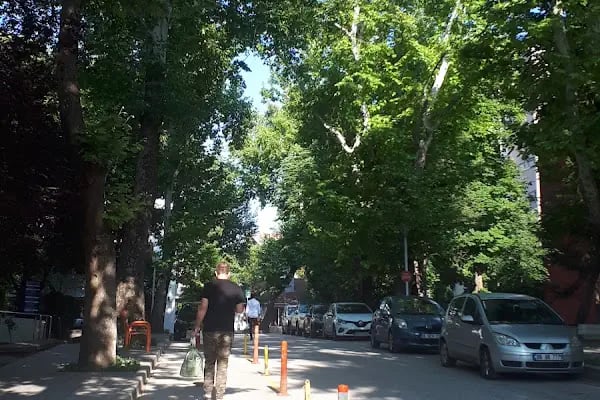 Ankara Üniversitesi Tıp Fakültesi Cebeci Araştırma Ve Uygulama Hastanesi - Resim 8