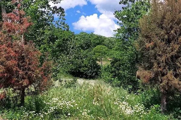 Büyükorhan Cuma Pazarı - Resim 18