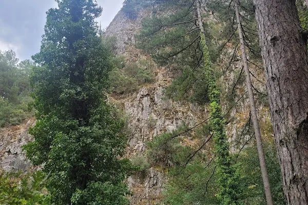 Ayazma Pınarı Tabiat Parkı - Resim 17