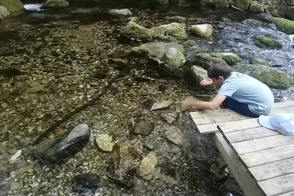 Ayazma Pınarı Tabiat Parkı - Resim 14