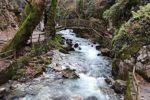 Ayazma Pınarı Tabiat Parkı - Resim 7