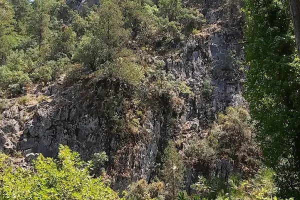Ayazma Pınarı Tabiat Parkı - Resim 18